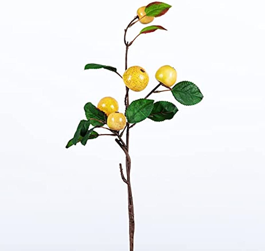 「Tuokus」人工観葉植物 造花 りんご アップル 手作り フラワーアレンジメント 枯れない花 フェイクグリーン インテリア おしゃれ グリーン デコレーション 枯れない 本物 FZHj01癒しの 1つ:48*20cm(約)