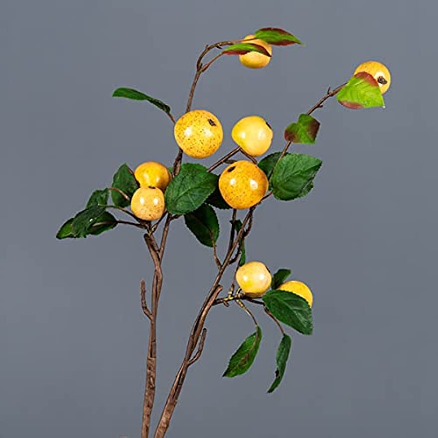 「Tuokus」人工観葉植物 造花 りんご アップル 手作り フラワーアレンジメント 枯れない花 フェイクグリーン インテリア おしゃれ グリーン デコレーション 枯れない 本物 FZHj01癒しの 1つ:48*20cm(約)