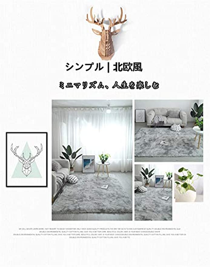 「Tuokus」カーペット ラグ ラグマット 3畳 4畳 5畳 6畳 防ダニ センターカーペット かわいい 抗菌 消臭 シャギーラグ 絨毯 滑り止め付き ふわふわ サラサラ 長方形 夏 秋 冬 洗える 200*250cm ダークグレー