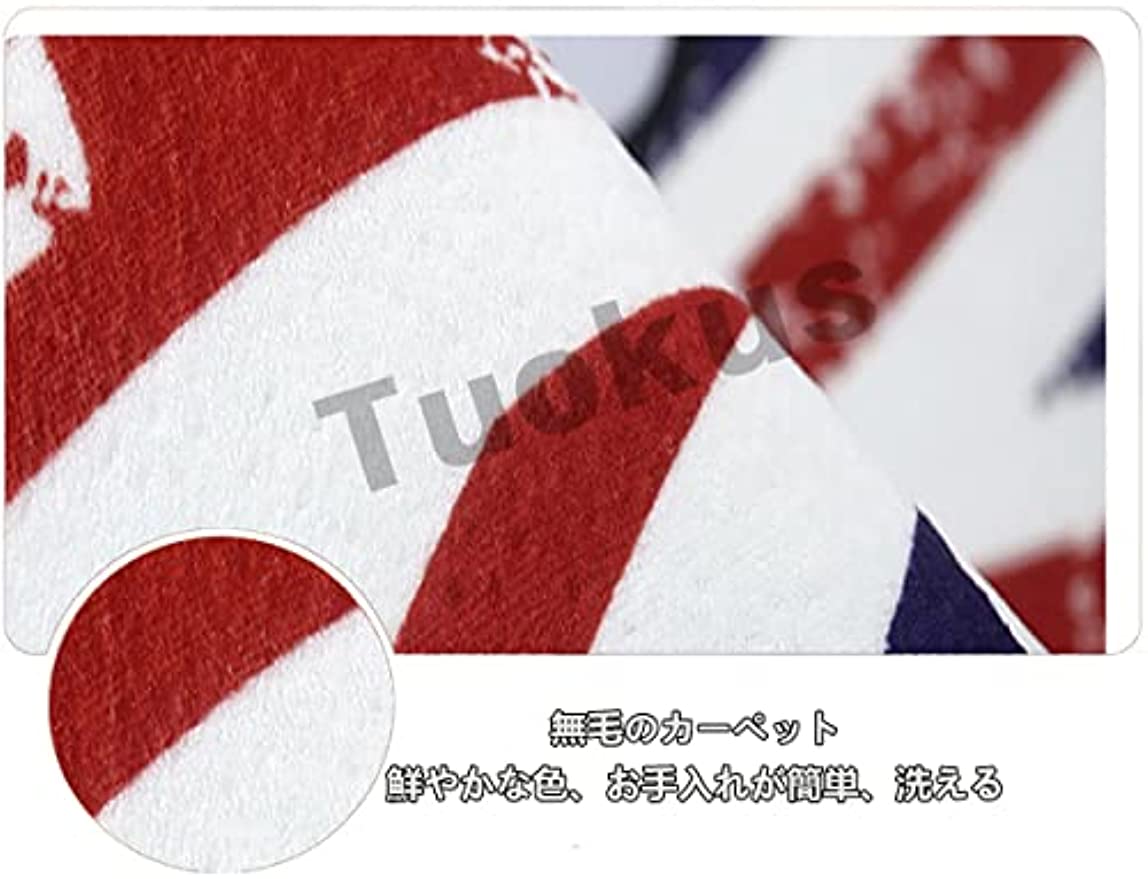 「Tuokus」カーペット かわいい ラグ おしゃれ 洗える ラグマット リントフリー 北欧 じゅうたん 3畳4畳5畳6畳 防ダニ センターカーペット 抗菌 消臭 シャギーラグ 滑り止め付き 長方形 夏秋冬