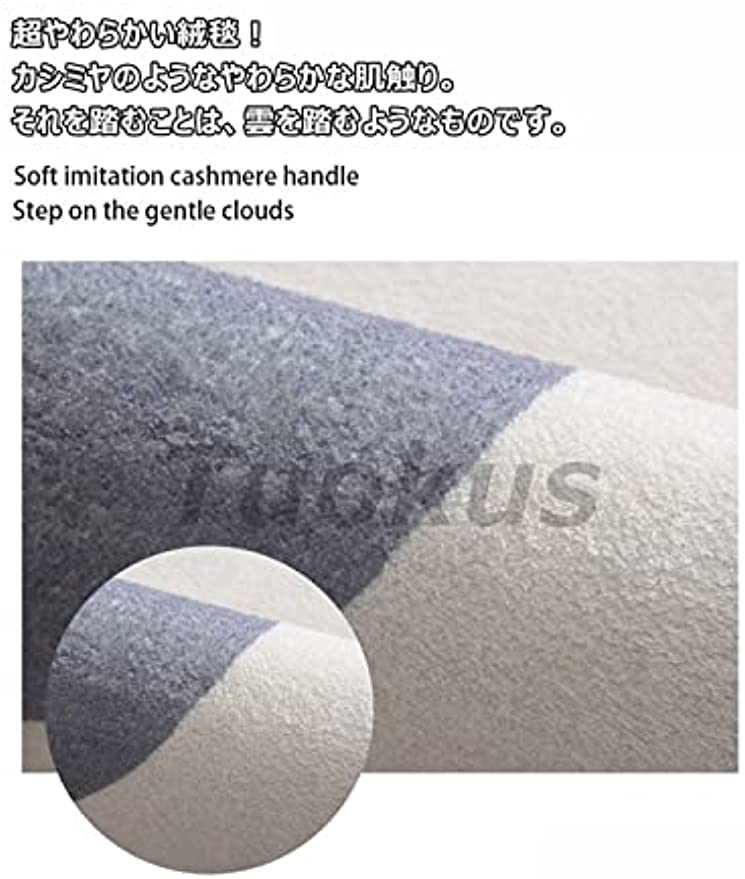 「Tuokus」カーペット イミテーションカシミア クラシック ラグ じゅうたん 洗える 絨毯 ラグマット 3畳4畳5畳6畳 防ダニ センターカーペット かわいい 抗菌 消臭 シャギーラグ 滑り止め付き ふわふわ サラサラ 長方形 夏秋冬 120*160cm