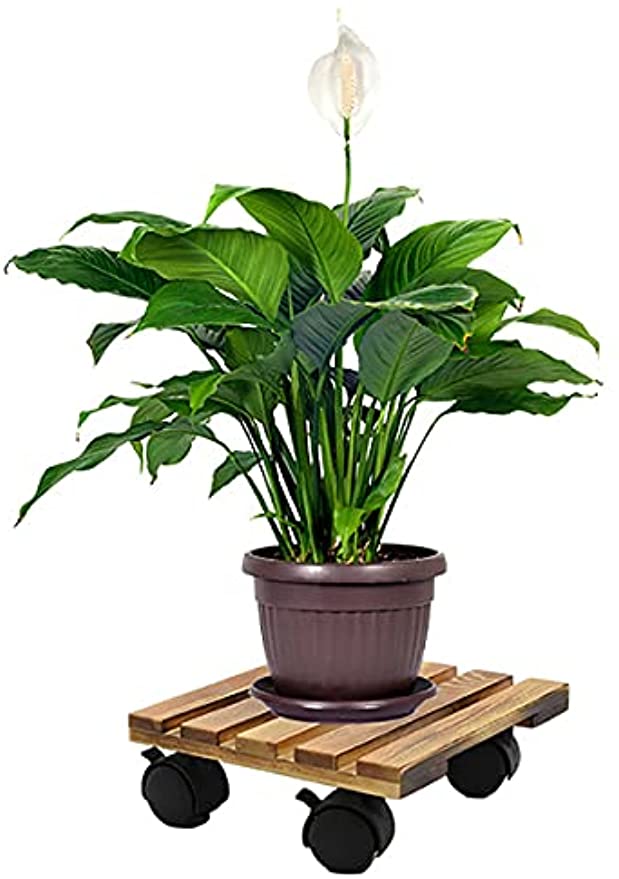 「Tuokus」植木鉢受け皿 植木鉢トレー 植木鉢台 鉢置台 1個セット 花台 木製 可動式 移動便利 床保護 丸い木 ウォールナット 丸い形直径25cm