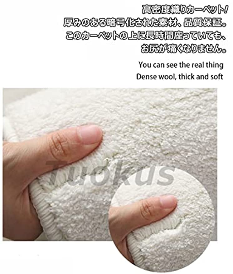 「Tuokus」カーペット イミテーションカシミア クラシック ラグ じゅうたん 洗える 絨毯 ラグマット 3畳4畳5畳6畳 防ダニ センターカーペット かわいい 抗菌 消臭 シャギーラグ 滑り止め付き ふわふわ サラサラ 長方形 夏秋冬 120*160cm