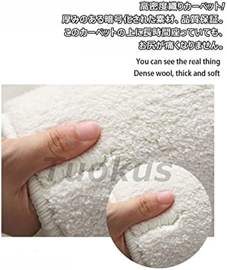 「Tuokus」ラグ カーペット シャギーラグ 洗える ふわふわ 絨毯 厚手 ラグマット 3畳4畳5畳6畳 ホットカーペット&床暖房で使用可能 洗える 模造カシミアラグ 消臭 厚い滑り止め付き サラサラ Fj-119 120*160cm