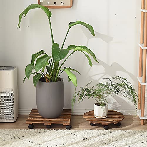 「Tuokus」植木鉢受け皿 植木鉢トレー 植木鉢台 鉢置台 1個セット 花台 木製 可動式 移動便利 床保護 丸い木 ウォールナット 丸い形直径25cm