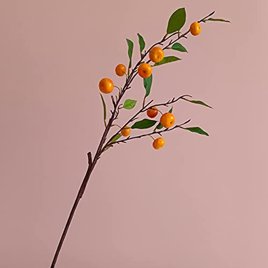 「Tuokus」人工観葉植物 造花 りんご オレンジ 手作り フラワーアレンジメント 枯れない花 フェイクグリーン インテリア おしゃれ グリーン デコレーション 枯れない 本物 FZHj02癒しの 1つ：85*45cm(約)