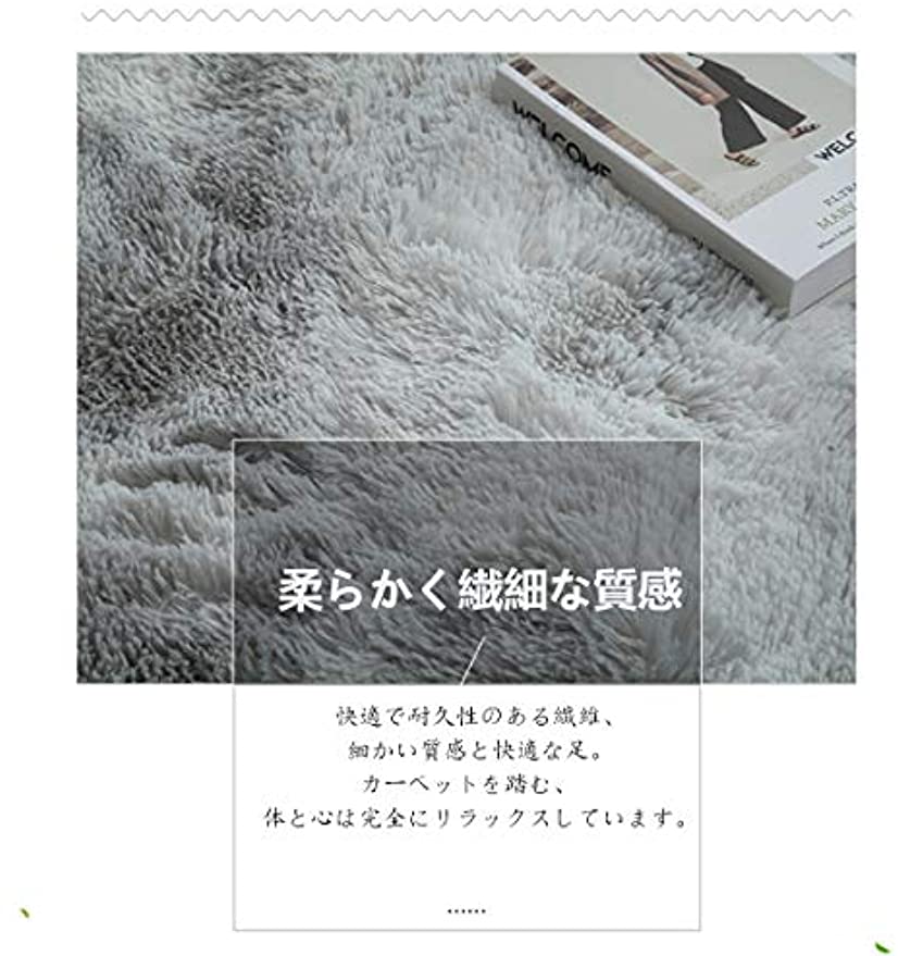 ラグ カーペット ラグマット 洗える 長方形 （グレー 100*200cm） 「Tuokus」洗える 1畳 2畳 3畳 4畳防ダニ センターカーペット ラグ かわいい 抗菌 消臭 シャギーラグ 絨毯 滑り止め付き ふわふわ サラサラ