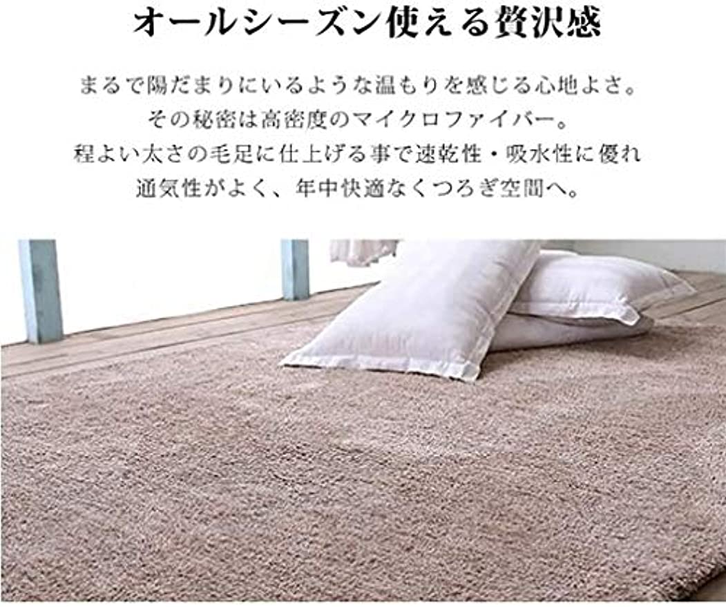 カーペット ラグ 200*300cm 洗える ラグマット「Tuokus」3畳 4畳 5畳 6畳 防ダニ センターカーペット かわいい 抗菌 消臭 シャギーラグ 絨毯 滑り止め付き ふわふわ サラサラ 長方形 夏 秋冬 ホワイト