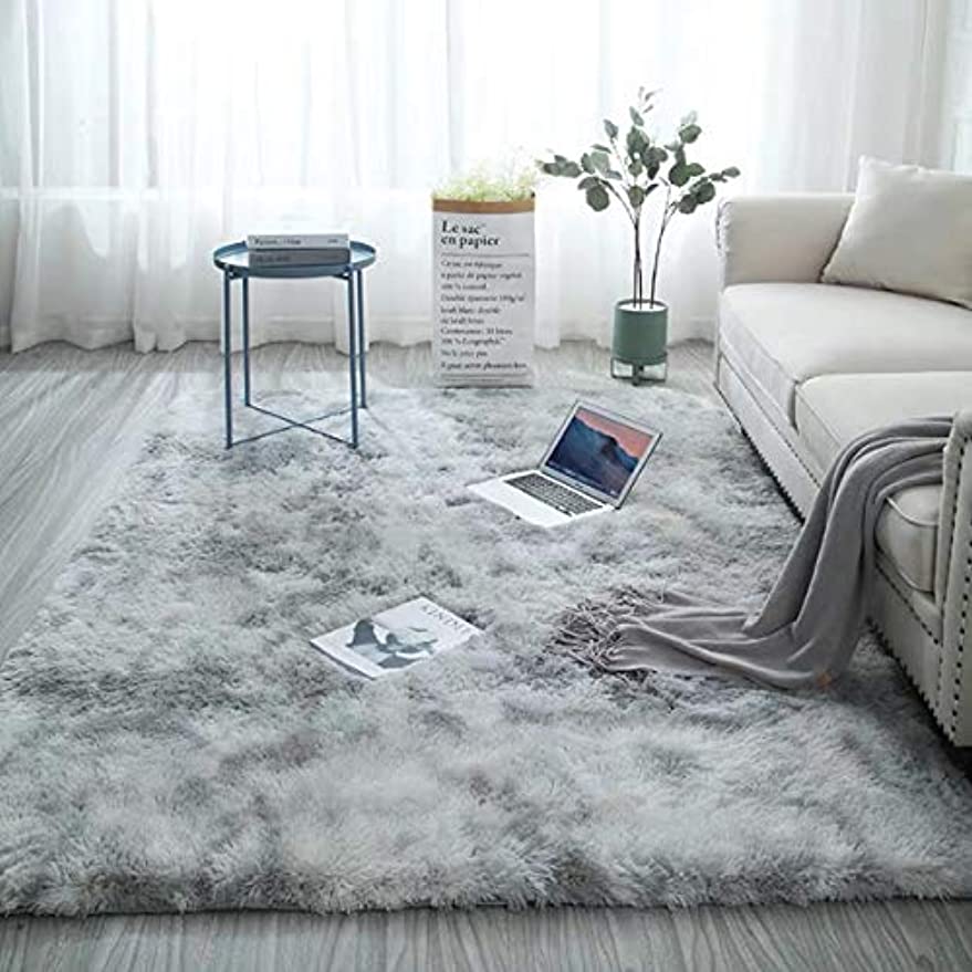 カーペット ラグ 200*300cm 洗える ラグマット「Tuokus」3畳 4畳 5畳 6