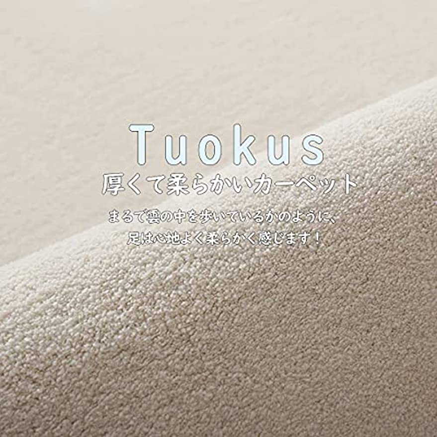 「Tuokus」ラグ カーペット ラグマット 床暖房に対応 模造カシミヤ絨毯 4畳5畳6畳7畳 ラグ 洗える ふわっと手触り優しい シャギーラグ 滑り止め 絨毯カーペット おしゃれ （ライトグレー 100*200cm約1.2畳）