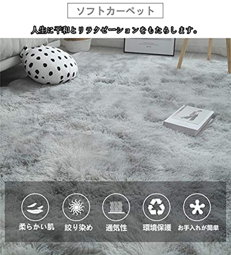 「Tuokus」カーペット ラグ ラグマット 3畳 4畳 5畳 6畳 防ダニ センターカーペット かわいい 抗菌 消臭 シャギーラグ 絨毯 滑り止め付き ふわふわ サラサラ 長方形 夏 秋 冬 洗える 200*250cm ダークグレー
