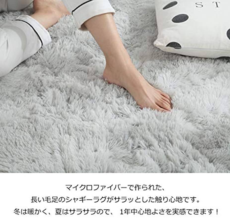 カーペット ラグ 200*300cm 洗える ラグマット「Tuokus」3畳 4畳 5畳 6